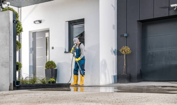 Best Soft Washing for Delicate Surfaces in Kenmore, NY